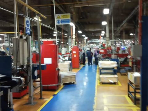 SKF SKF